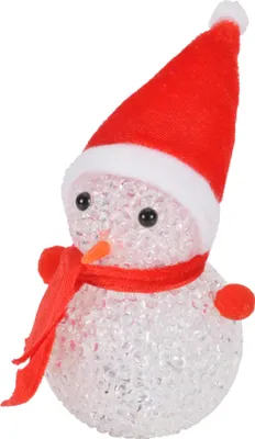 Image de Bonhomme de neige eva lumineux