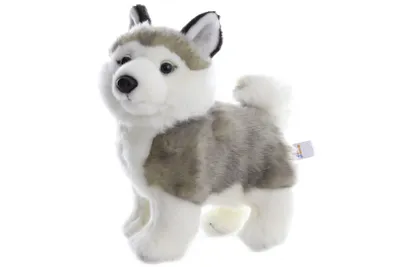 Obrázek produktu pro Plyš Husky 22 cm