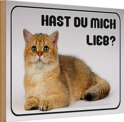 Produktbild von Holzschild Spruch Katze 30x20cm hast du mich lieb?