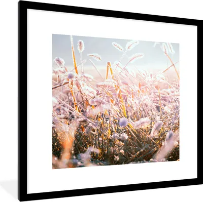 Produktbild von MuchoWow® Gerahmtes Poster Gras - Sonne - Winter - Schnee 40x40 cm - Poster mit Schwarzem Bilderrahmen Wandposter Rahmen Foto Bilder - Poster - Plakat im Rahmen