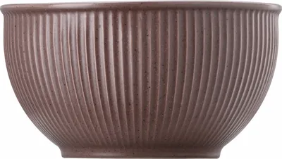 Zdjęcie produktu dla Thomas Müslischale 13 cm Thomas Clay Rust 21740-227078-60720