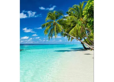 Zdjęcie produktu dla Fototapeta Dimex MS-3-0215 Rajska plaża 225 x 250 cm