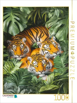 Produktbild von CALVENDO Puzzle Einfach beeindruckend | 1000 Teile Lege-Größe 64x48cm Foto-Puzzle für glückliche Stunden
