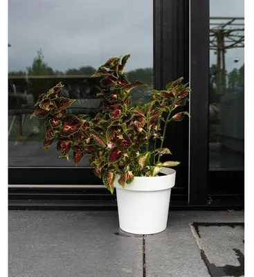 Image de Pot de fleurs rond, GARDEN ID Glamour, Ø 50 cm, 47 L, H 43 cm, Blanc