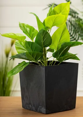 Image de HowHomely Pot de fleurs Flore 19 cm de hauteur, bac à plantes, noir Cache-pot pour jardin balcon