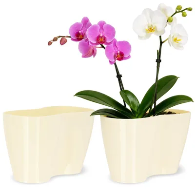 Immagine prodotto di KADAX vaso per fiori da interno "Fermo", vaso per fiori, vaso per piante in plastica, vaso per fiori, crema, 23 cm