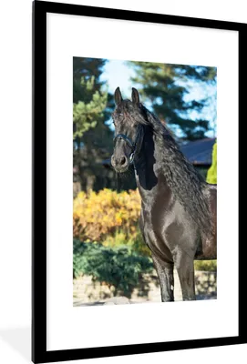 Produktbild von MuchoWow® MuchoWow® Gerahmtes Poster Sonne - Friesisch - Pferd 60x90 cm - Poster mit zchwarzem Bilderrahmen - Dekoration - Wandposter Wohnzimmer - Hochwertig
