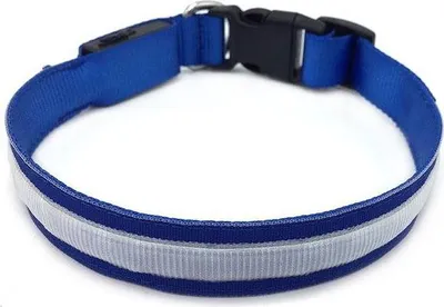 Immagine prodotto di Bentech Collare luminoso a LED DC3100 blu M