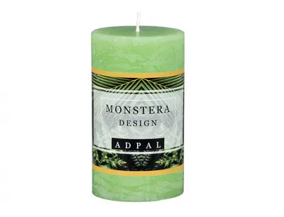 Image de Nohel Garden Bougie parfumée rustique MONSTERA DESIGN 7x12cm