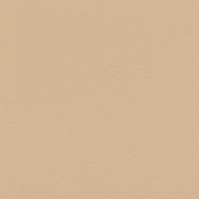 Produktbild von Vliestapete 752694 Tapete Uni Einfarbig 53 x 1005 cm Rasch African Queen III Beige