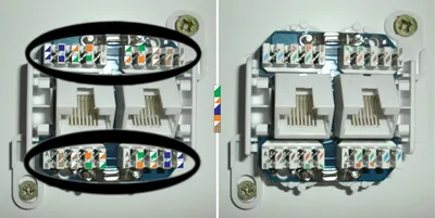 Image de DATACOM Prise double UTP 45 degrés - Cat5e