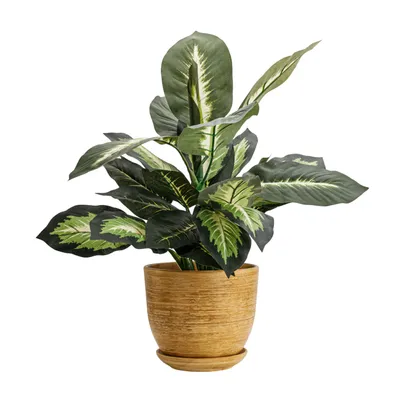 Immagine prodotto di Vaso in Vetroceramica Rotondo con piattino marrone chiaro 21,5 cm lucido con foro di drenaggio