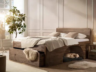 Produktbild von Bett Companion 140x200 Familienbett Haustierbett