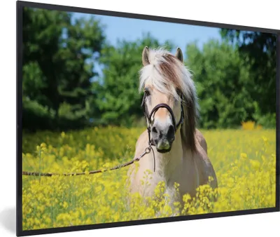 Produktbild von MuchoWow® MuchoWow® Gerahmtes Poster Pferd - Blumen - Gelb 90x60 cm - Poster mit zchwarzem Bilderrahmen - Fotorahmen - Foto-Plakat