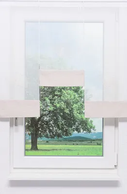 Produktbild von Lysel 3er SET Scheibenhänger Miniflächen Ginkgotraum (Bx H) 30cm * 80cm beige/elfenbein