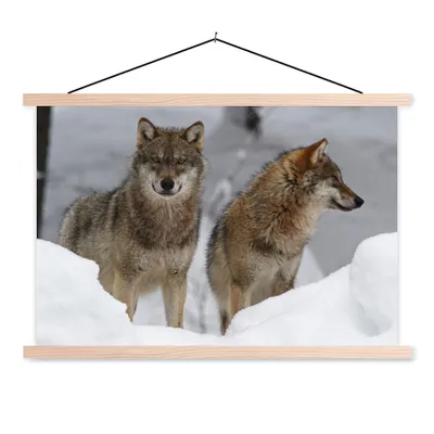 Produktbild von MuchoWow® Textilposter Wolf - Schnee - Tiere 120x80 cm mit holzfarbenen Rahmen - Aufhängeset