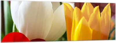 Produktbild von Bilder auf glas - Tulpen Vase Blumenstrauß - 160x50cm - Glasbilder - Wandbilder - Kunstdruck - zum Aufhängen bereit - Wanddekoration aus Glas - Glas Bilder - Wandbild auf Glas - GAB160x50-1366