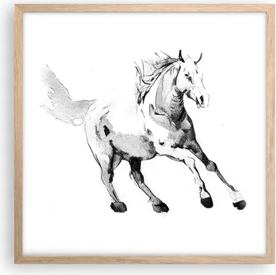 Produktbild von Gerahmtes Poster - Rahmen in heller Eiche - Pferd Galopp Tier - 50x50 cm - Wand Bild - Wanddeko - Wandbilder - Kunstposter - Wandposter - Bilderrahmen - Bilder - Kunstdruck - P2NAC50x50-5117