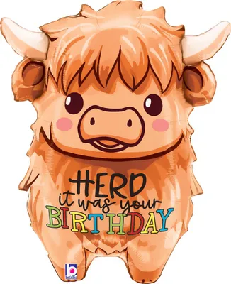 Produktbild von Shape Folienballon "Herd it was your Birthday" Kuh | 69 cm