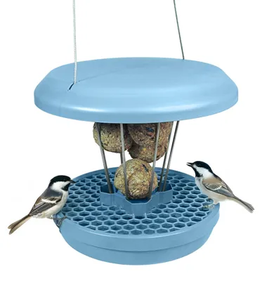 Produktbild von Vogelhaus für Wildvögel - Mäuse- und Rattenbeständig - Hängendes Futterstation