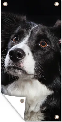 Produktbild von MuchoWow® 30x60 cm Outdoor-Poster Gartendeko Sichtschutz Garten Poster für den Garten  Porträt eines Border Collie