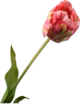 Produktbild von Silk-ka Kunstblume – Seidenblumen, Tulpenstiel, rosa-gelb, 66 cm