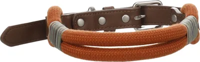 Image de Chien Collier Athos Cognac