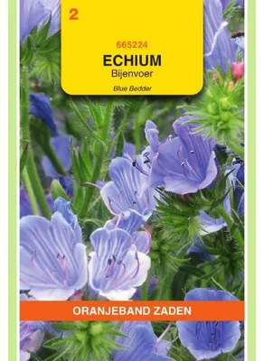 Imagen del producto de Oranjeband Echium plantagineum Blue Bedder - 1 paquete de semillas