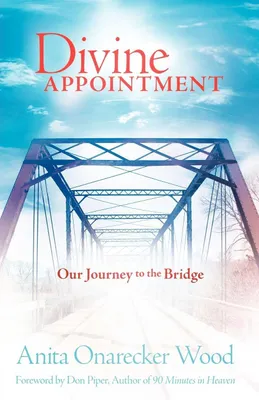 Produktbild von Divine Appointment