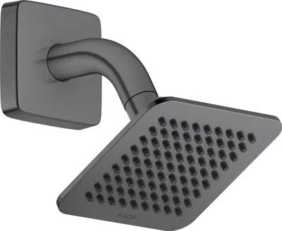 Imagen del producto de AXOR 28810340: Cabezal de ducha, modelo 120/120, 1 chorro