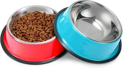 Produktbild von Famanu Futterstation für Katzen aus Edelstahl, rutschfest, erhöhte Fressnäpfe