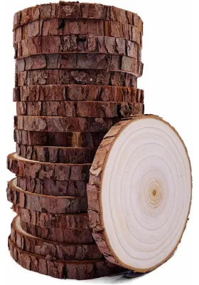 Image de Rondelles en bois, 20 pièces, diamètre 9-10 cm, non traitées, idéales pour les travaux manuels et la décoration