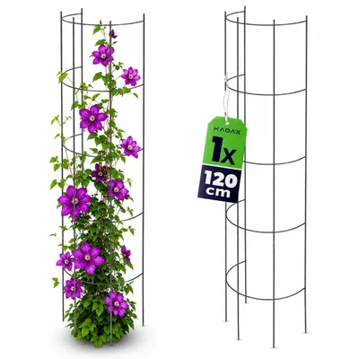 Image de KADAX Colonne pour plantes grimpantes en acier, treillis, aide pour grimper, colonne, plantes grimpantes, tour pour grimper