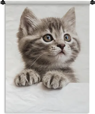 Produktbild von MuchoWow® Wandteppich Wandbehang Katze - Grau - Tiere 60x80 cm Tapisserie Dekoration Wandtuch - Decke - Wandtücher - Wohne