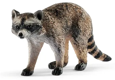 Immagine prodotto di Procione Schleich, 14828