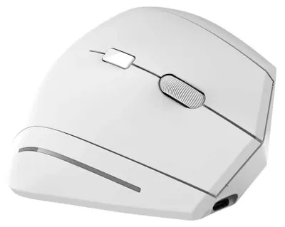 Immagine prodotto di Tnb Mwergovbtrwh Mouse ergonomico wireless argento  Argento Taglia unica