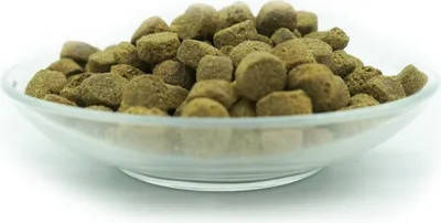 A close-up shot of dry pet food in a clear glass bowl.