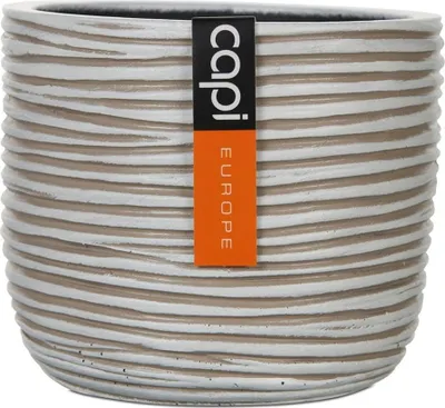 A close-up studio shot of a textured plant pot.