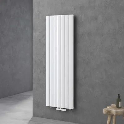 Produktbild von doporro Design Badheizung 160x54cm Weiß Paneelheizkörper Zweilagig Vertikal Mittelanschluss Bad-Heizkörper Ohne Heizstab FV