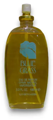 Productafbeelding van Elizabeth Arden Blue Grass Eau de Parfum voor dames, 100 ml *Testproduct