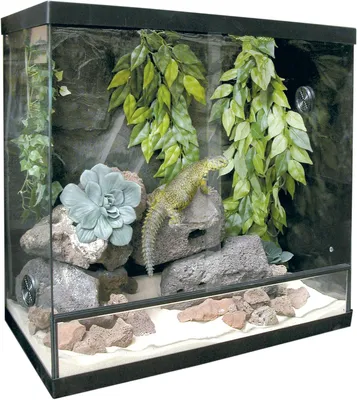 Immagine prodotto di Set per terrario in vetro KRS75