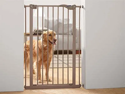 A golden retriever dog stands behind a metal pet gate in a doorway.