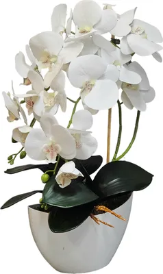 Image de Orchidée artificielle en pot Fleurs artificielles Plantes artificielles 50 cm
