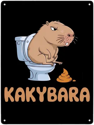 Produktbild von Capybara auf Toilette Metallschild XXL in 28x38 cm Kakybara Toilettenschild