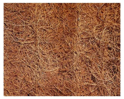 Produktbild von 5 Stück Kokosscheibe Ø 25 cm aus 100% Kokosfasern - Kokosmatte für Pflanzenwinterschutz - Frostschutz für Topf- und Kübelpflanzen