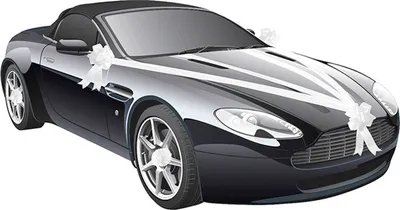 Hochzeits-Auto Girlande Weiß 8 cm x 20 m Autoschleife Autoschmuck Wedding Car Deko