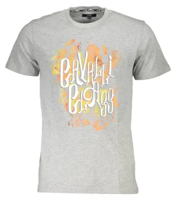 Produktbild von Stilvolles Herren T-Shirt Grau mit Druck und Logo – Kurzarm, Rundhals