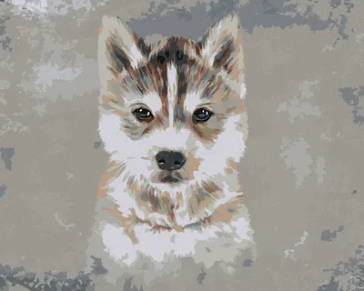 Obrázek produktu pro Zuty - Diamantové malování - HUSKY NA ŠEDÉM POZADÍ, 40x50 cm, vypnuté plátno na rám