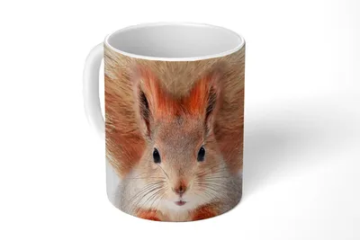 Produktbild von KitchenYeah® Tasse Kaffeetasse Kaffeebecher 350 ml Eichhörnchen - Tiere - Natur - Orange - Weiß Teetasse - Fototasse - Becher - Keramikbecher - Teebecher - Kaffeetasse - Bürotasse