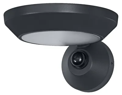Produktbild von LED Gartenbeleuchtung mit Bewegungsmelder B: 16 cm 3000 K 930 lm Modern Außenleuchte